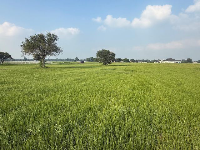 3211 Pearce Drive, Rosharon, TX 77583