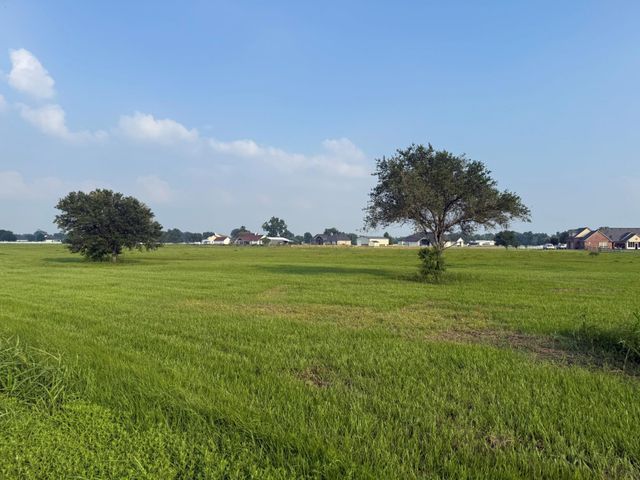 3211 Pearce Drive, Rosharon, TX 77583