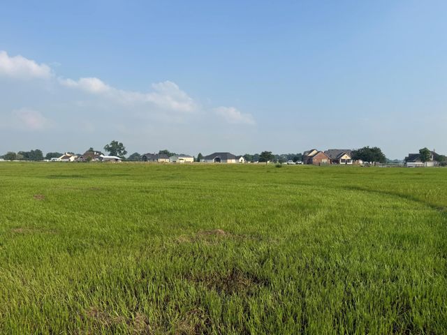 3211 Pearce Drive, Rosharon, TX 77583