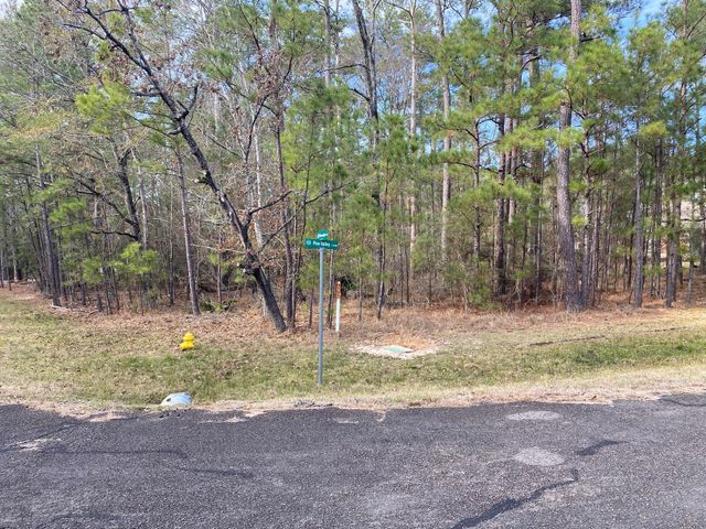 24418 Gleneagles, Huntsville, TX 77320