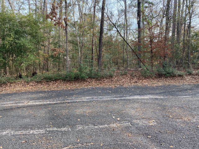 24418 Gleneagles, Huntsville, TX 77320