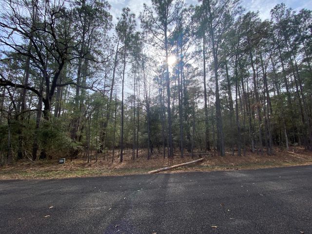 24418 Gleneagles, Huntsville, TX 77320