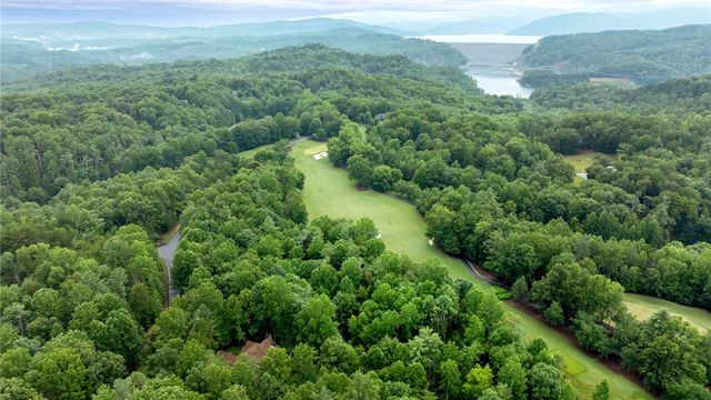 205 Long Cove Court, Sunset, SC 29685