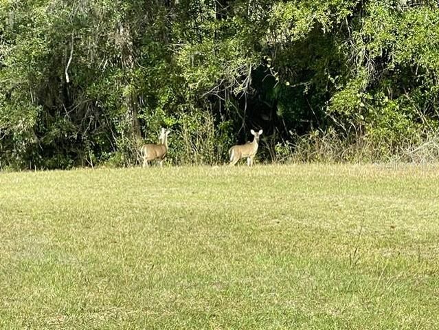 21800 SW 15TH AVENUE, Newberry, FL 32669