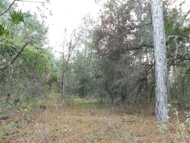 TBD SE 120th Court, Morriston, FL 32668