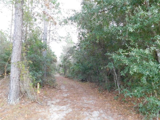 TBD SE 120th Court, Morriston, FL 32668