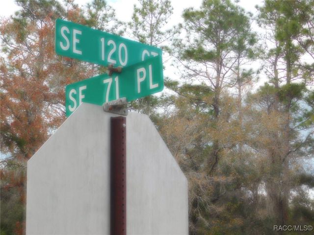 TBD SE 120th Court, Morriston, FL 32668