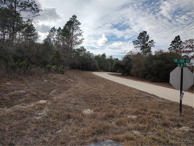 TBD SE 120th Court, Morriston, FL 32668