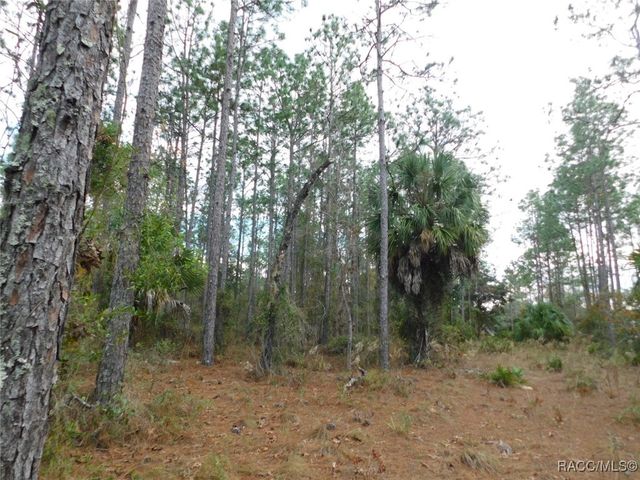 TBD SE 120th Court, Morriston, FL 32668