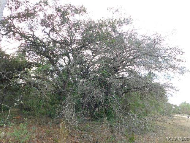 TBD SE 120th Court, Morriston, FL 32668