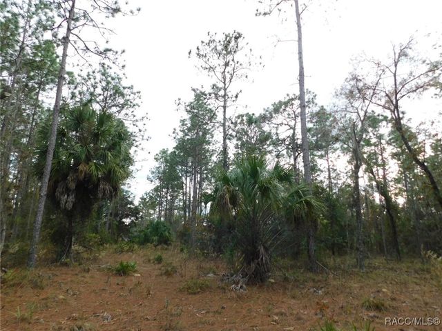 TBD SE 120th Court, Morriston, FL 32668
