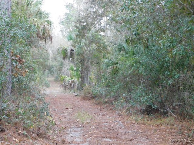 TBD SE 120th Court, Morriston, FL 32668