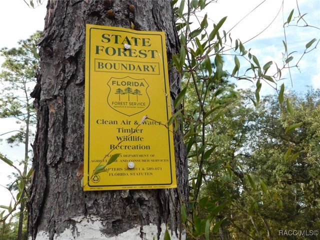 TBD SE 120th Court, Morriston, FL 32668