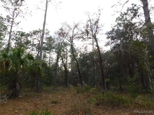 TBD SE 120th Court, Morriston, FL 32668