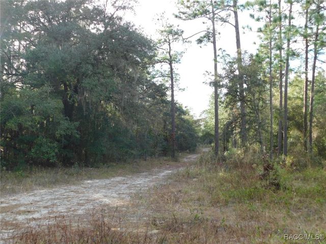 TBD SE 120th Court, Morriston, FL 32668