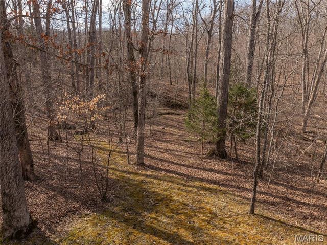 633 Wunderbar Point Drive, Innsbrook, MO 63390