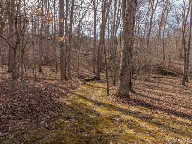 633 Wunderbar Point Drive, Innsbrook, MO 63390