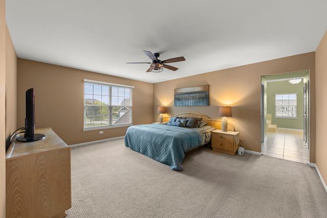 13521 Arborview Circle, Plainfield, IL 60585