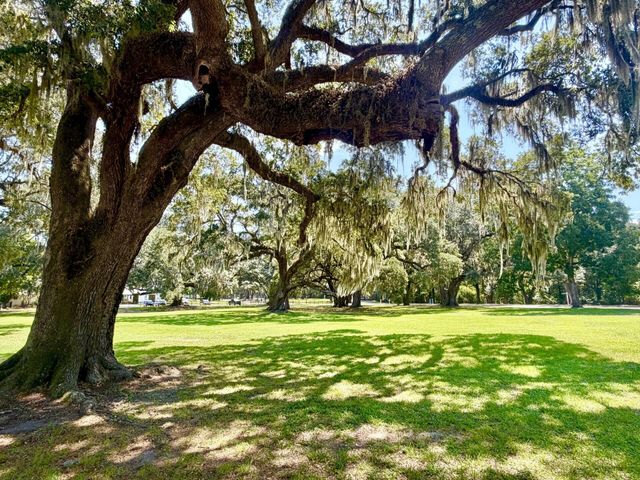 229 Ribbon Road, Summerville, SC 29483