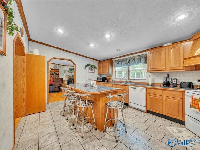 3599 Highway 117, Mentone, AL 35984