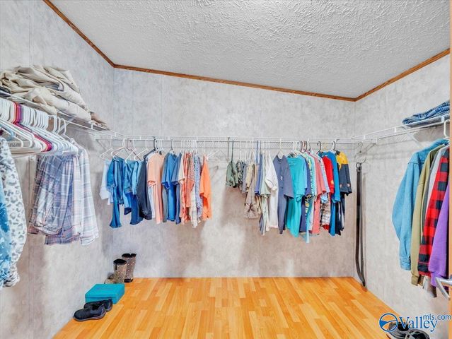 3599 Highway 117, Mentone, AL 35984