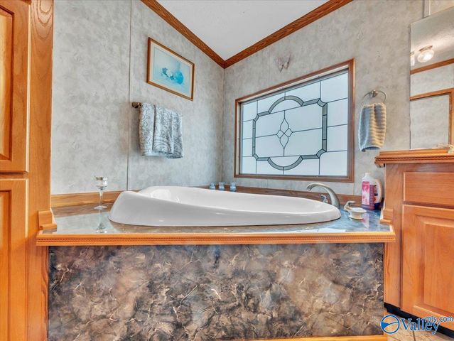 3599 Highway 117, Mentone, AL 35984