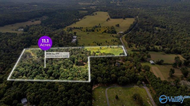 3599 Highway 117, Mentone, AL 35984