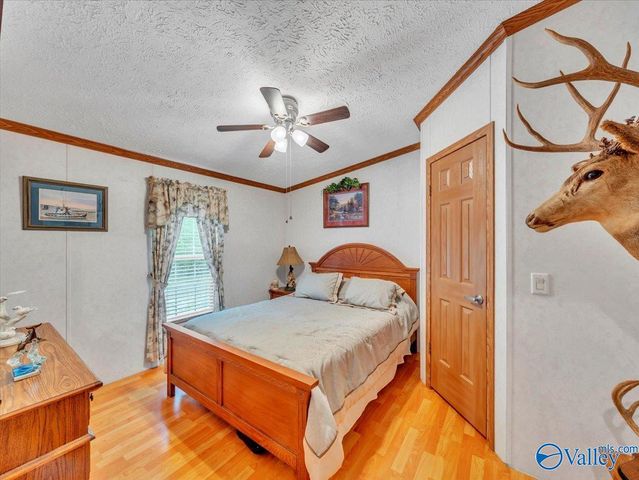 3599 Highway 117, Mentone, AL 35984