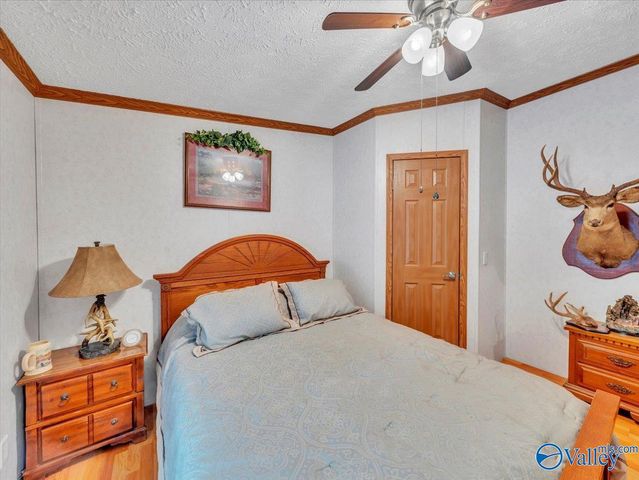 3599 Highway 117, Mentone, AL 35984