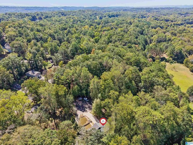 4601 SYLVANER LANE, Hoover, AL 35244