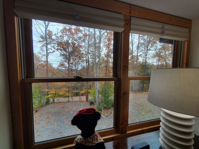 171 Mohawk Trail, Ellijay, GA 30540