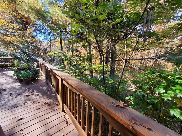 171 Mohawk Trail, Ellijay, GA 30540