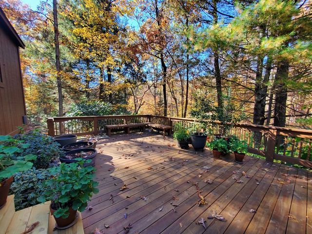 171 Mohawk Trail, Ellijay, GA 30540