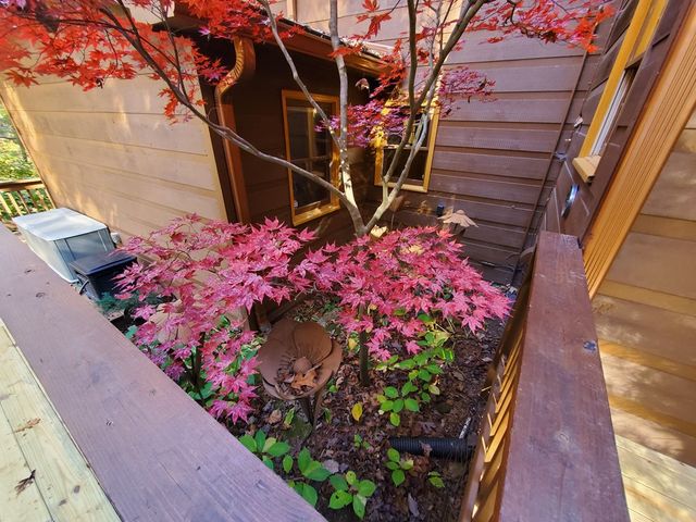 171 Mohawk Trail, Ellijay, GA 30540