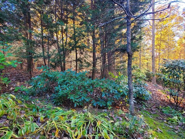 171 Mohawk Trail, Ellijay, GA 30540