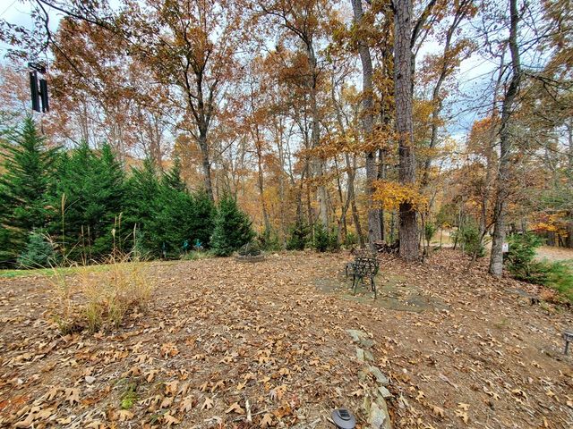 171 Mohawk Trail, Ellijay, GA 30540