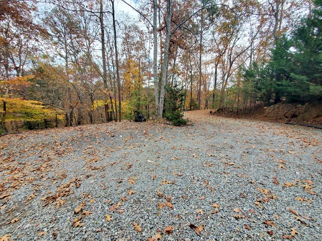 171 Mohawk Trail, Ellijay, GA 30540