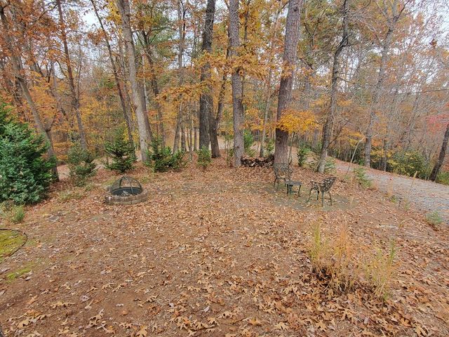 171 Mohawk Trail, Ellijay, GA 30540