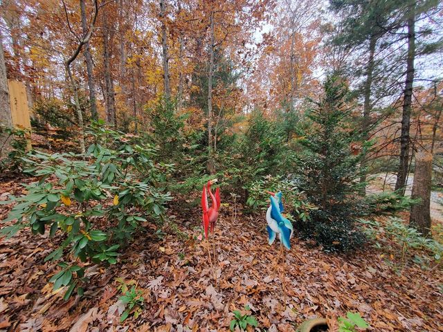 171 Mohawk Trail, Ellijay, GA 30540