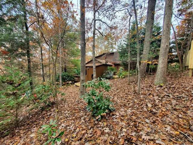 171 Mohawk Trail, Ellijay, GA 30540