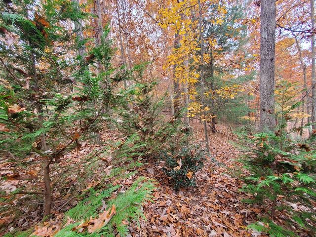 171 Mohawk Trail, Ellijay, GA 30540