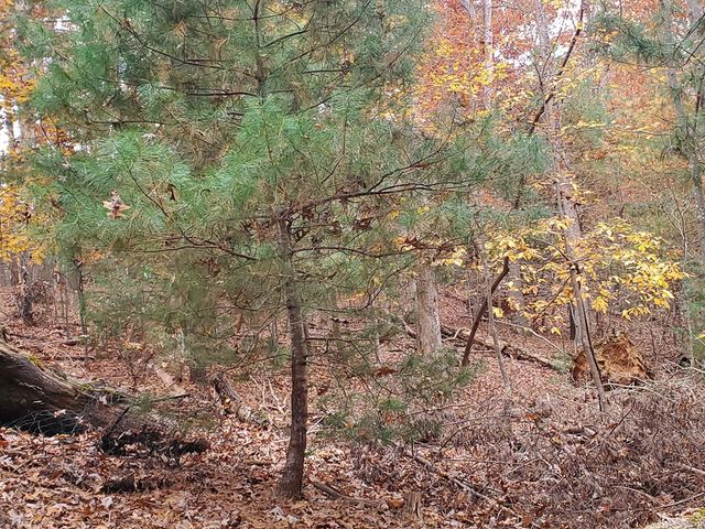 171 Mohawk Trail, Ellijay, GA 30540