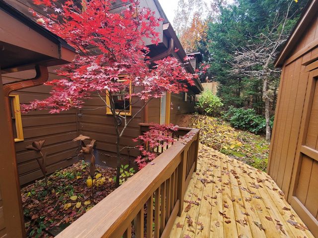 171 Mohawk Trail, Ellijay, GA 30540