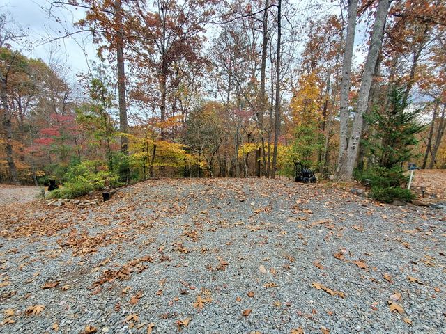 171 Mohawk Trail, Ellijay, GA 30540