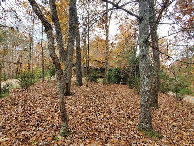 171 Mohawk Trail, Ellijay, GA 30540