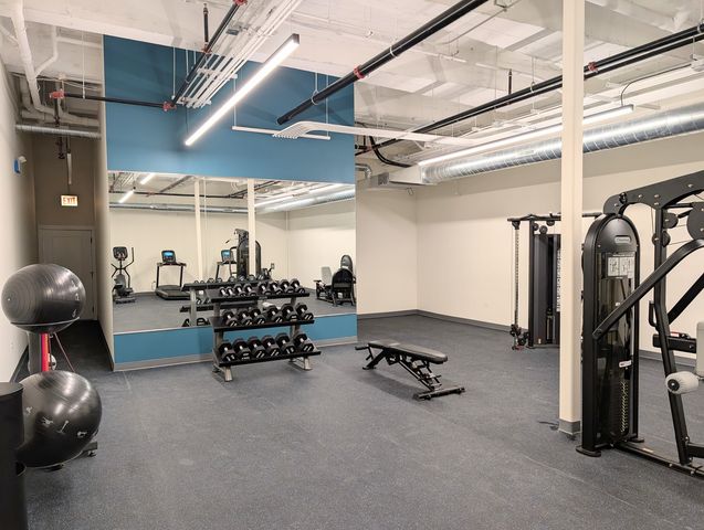 1453 Maple Avenue 206, Evanston, IL 60201