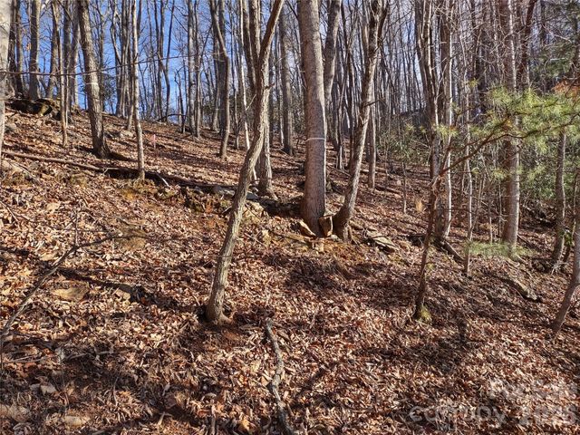 99999 Cedar Drive 273, Mills River, NC 28759