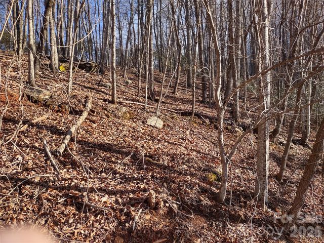 99999 Cedar Drive 273, Mills River, NC 28759