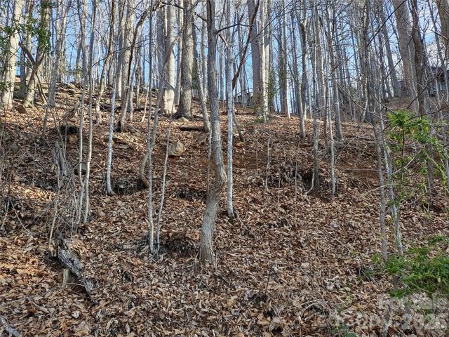 99999 Cedar Drive 273, Mills River, NC 28759