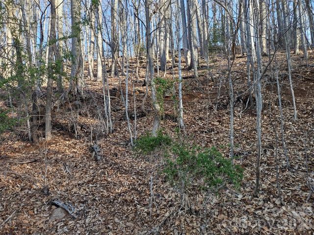 99999 Cedar Drive 273, Mills River, NC 28759